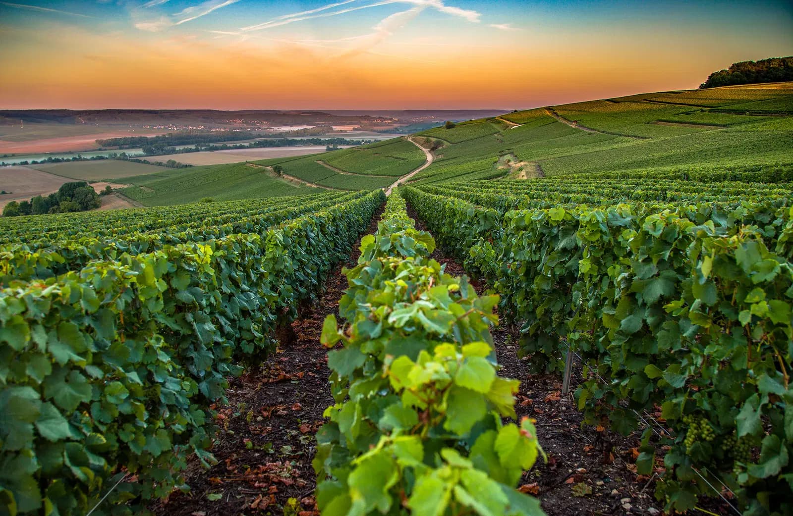 Champagne, Frankreich