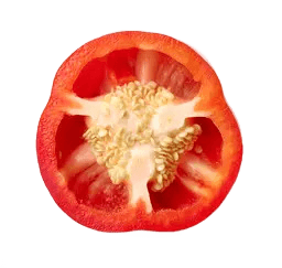 Paprika