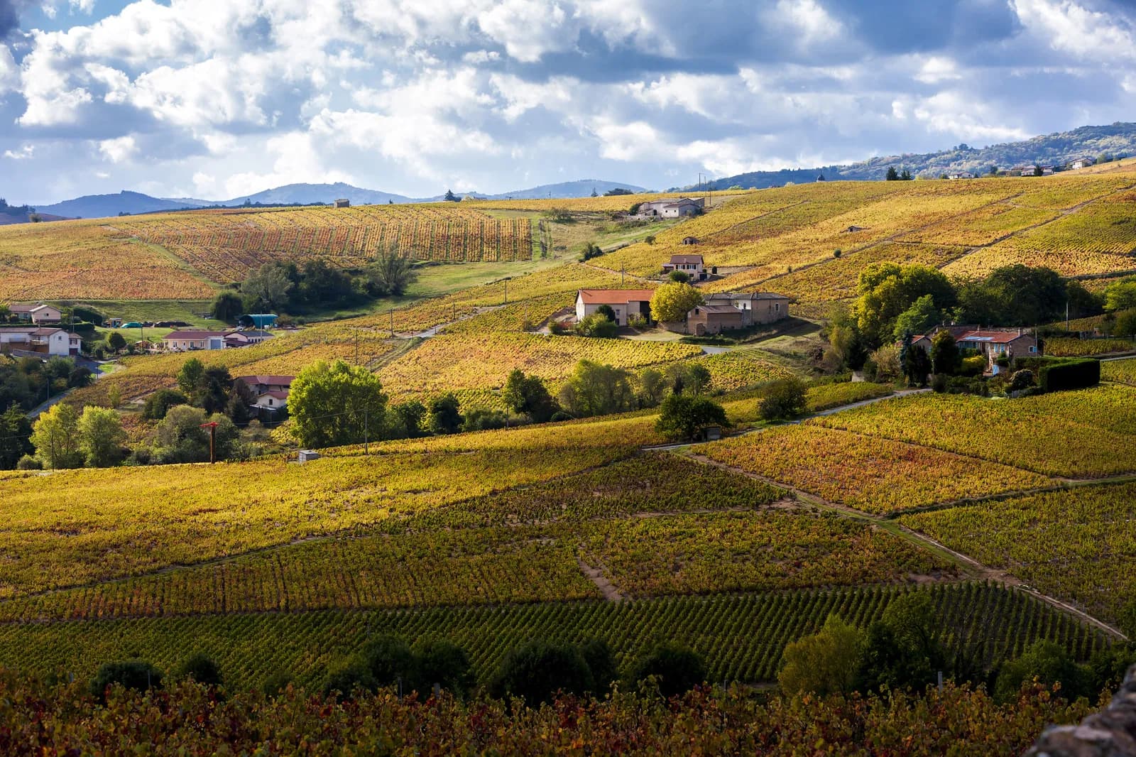 Rhône, Frankreich