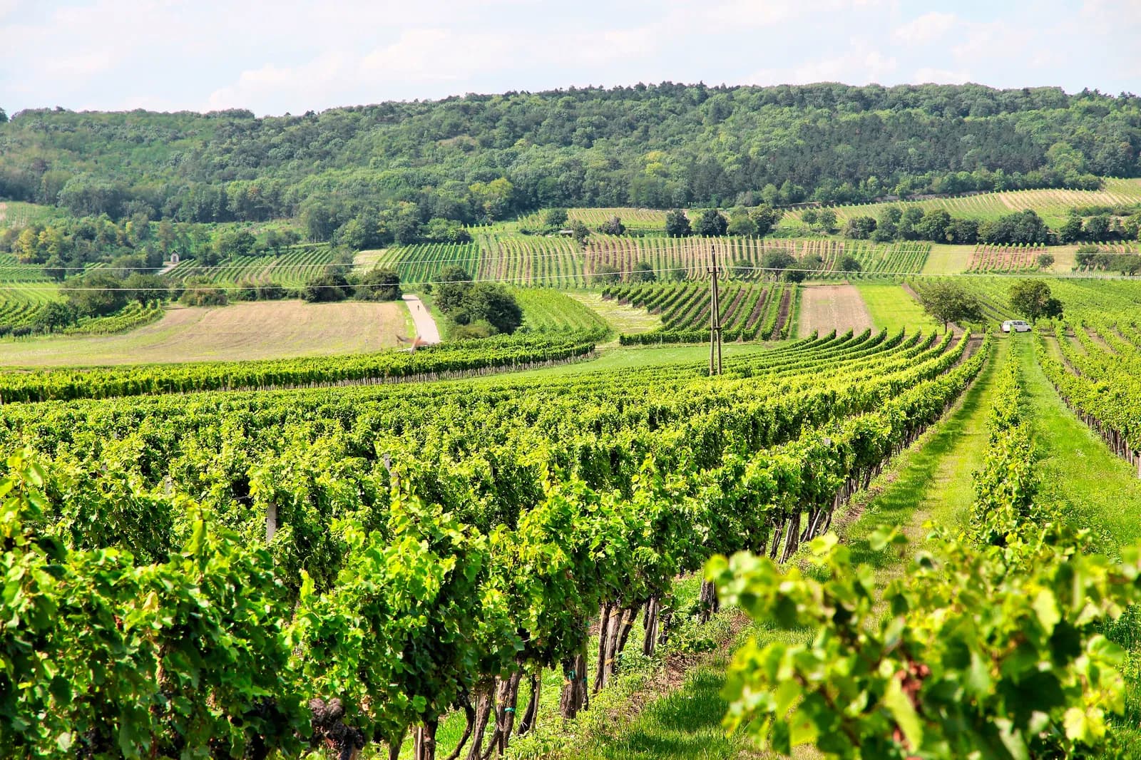 Mittelburgenland, Österreich