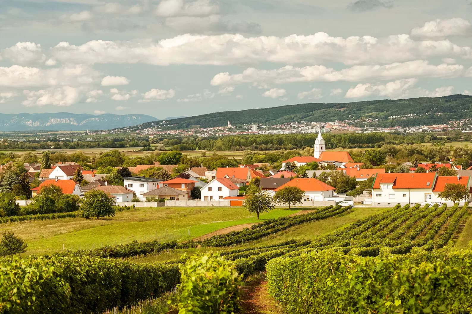 Leithaberg, Österreich