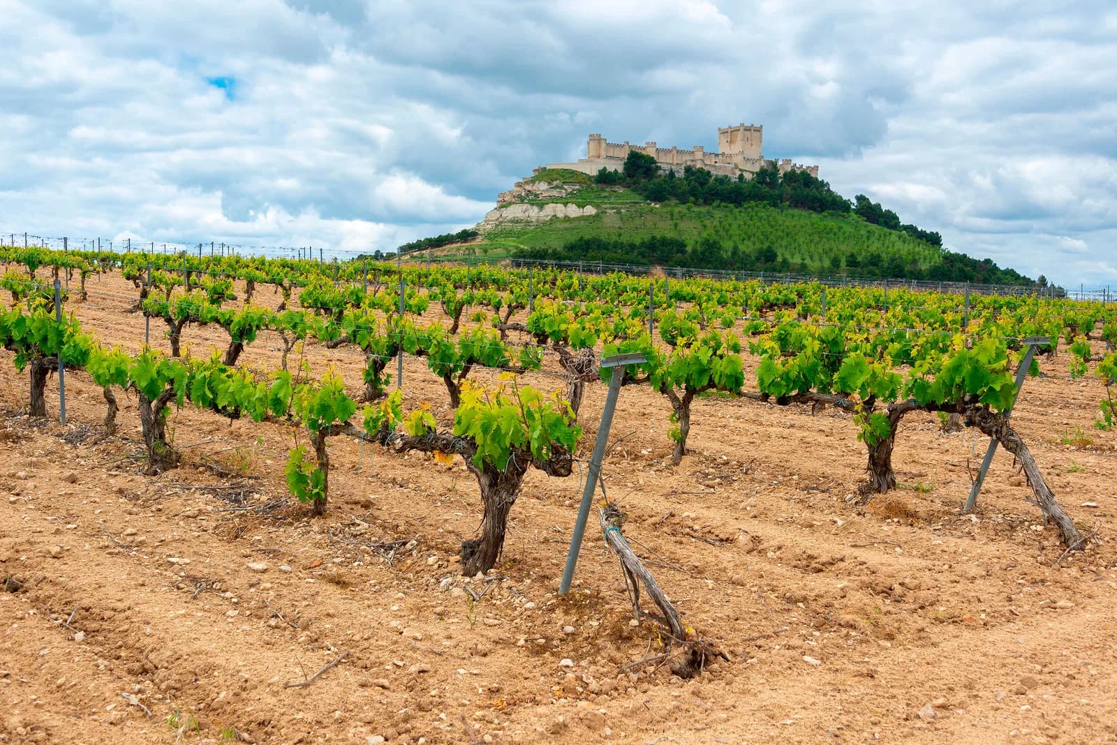 Kastilien-León, Spanien