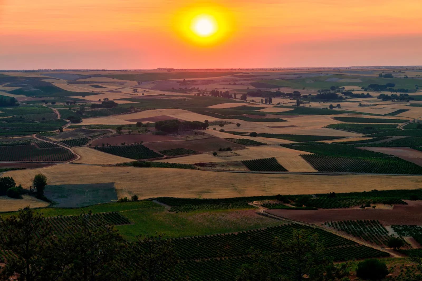 Ribera del Duero, Spanien