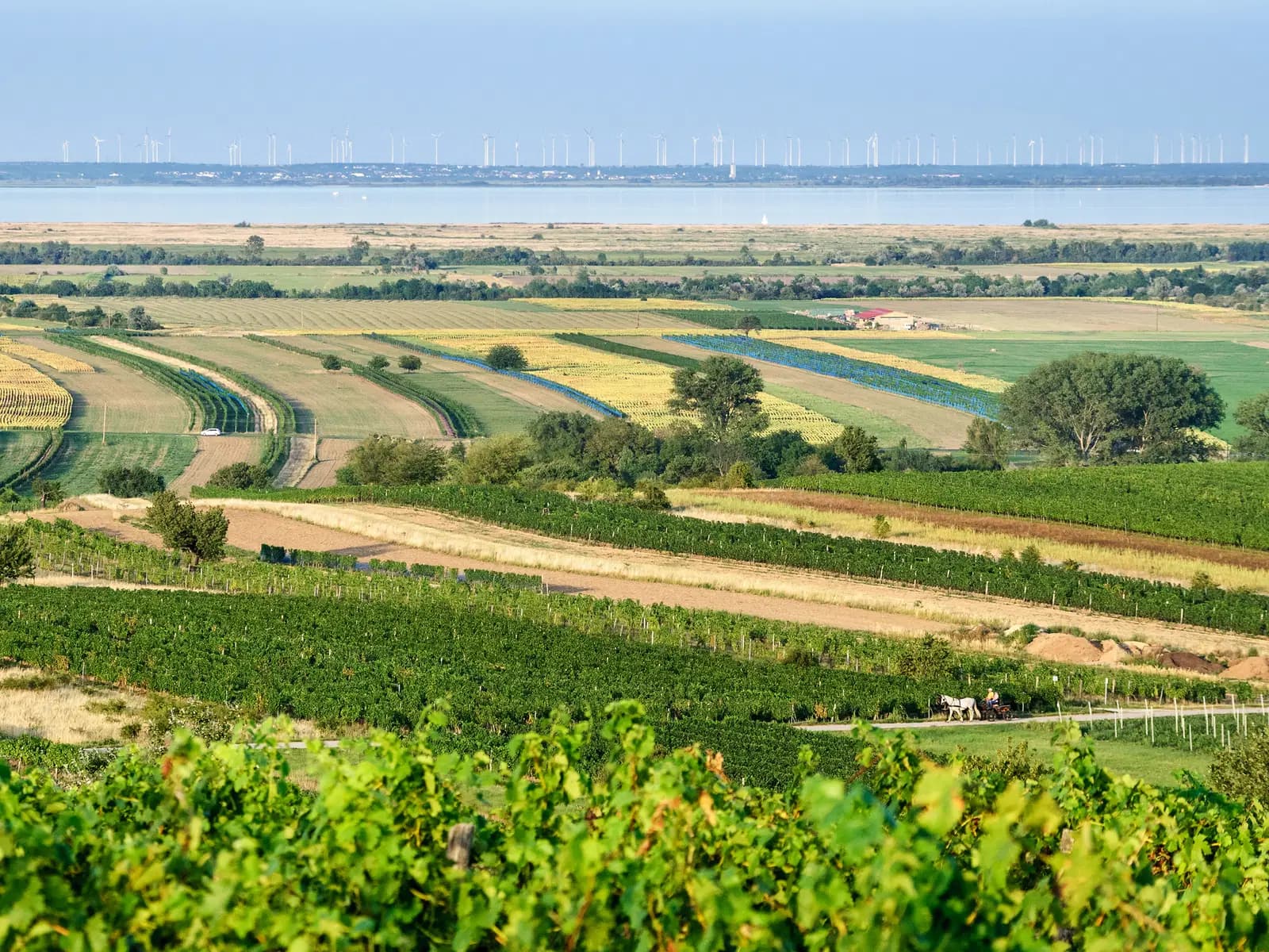 Neusiedlersee, Österreich