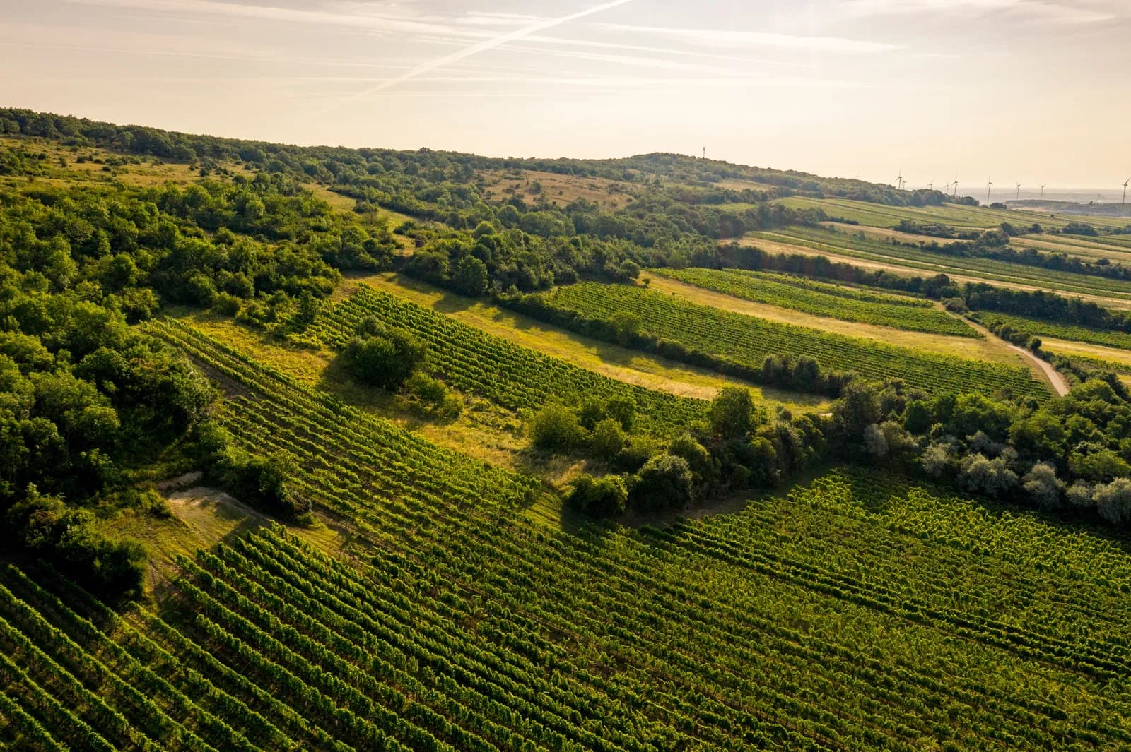 Carnuntum, Österreich