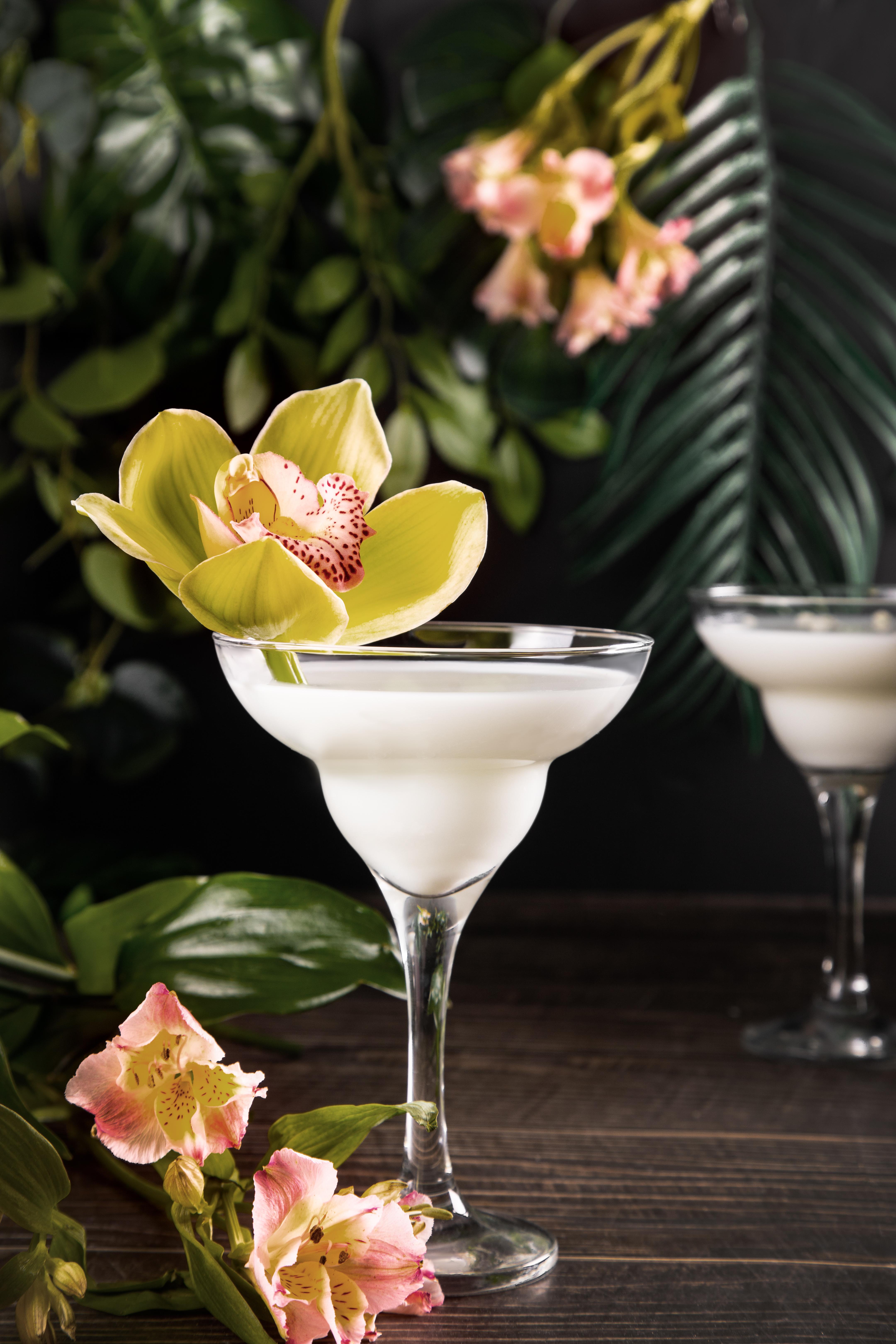 Ein cremiger weißer Cocktail im Margarita-Glas, garniert mit einer gelben Orchidee vor tropischem Blattwerk und Blumen.